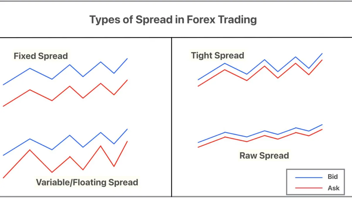 spread ebc financial group