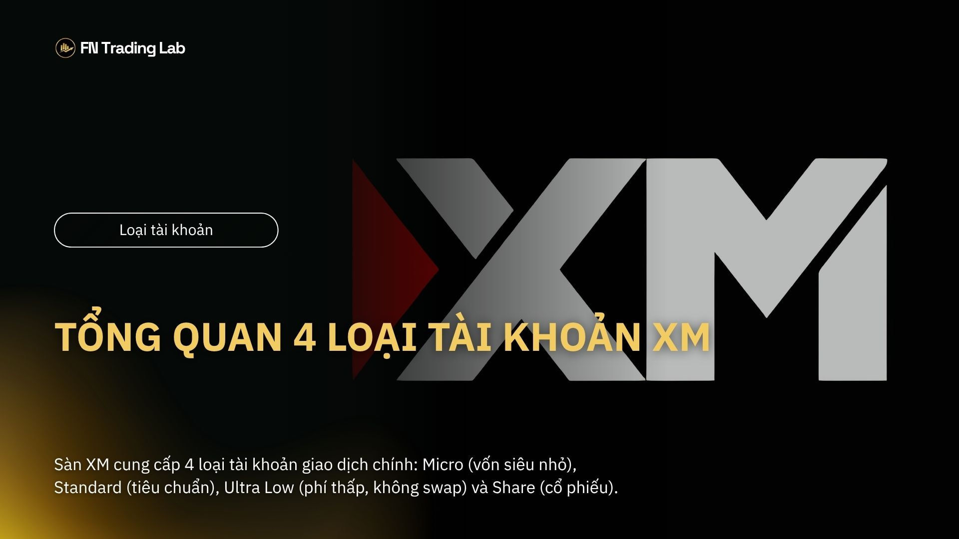 Tổng Quan 4 Loại Tài Khoản XM