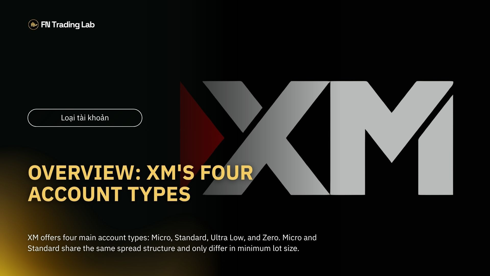 XM account types compared 