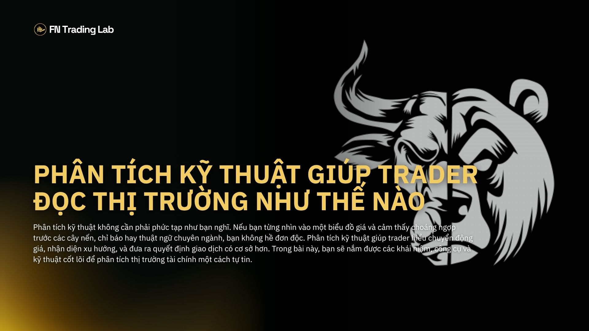 phan tich ky thuat cho nguoi moi bat dau 1