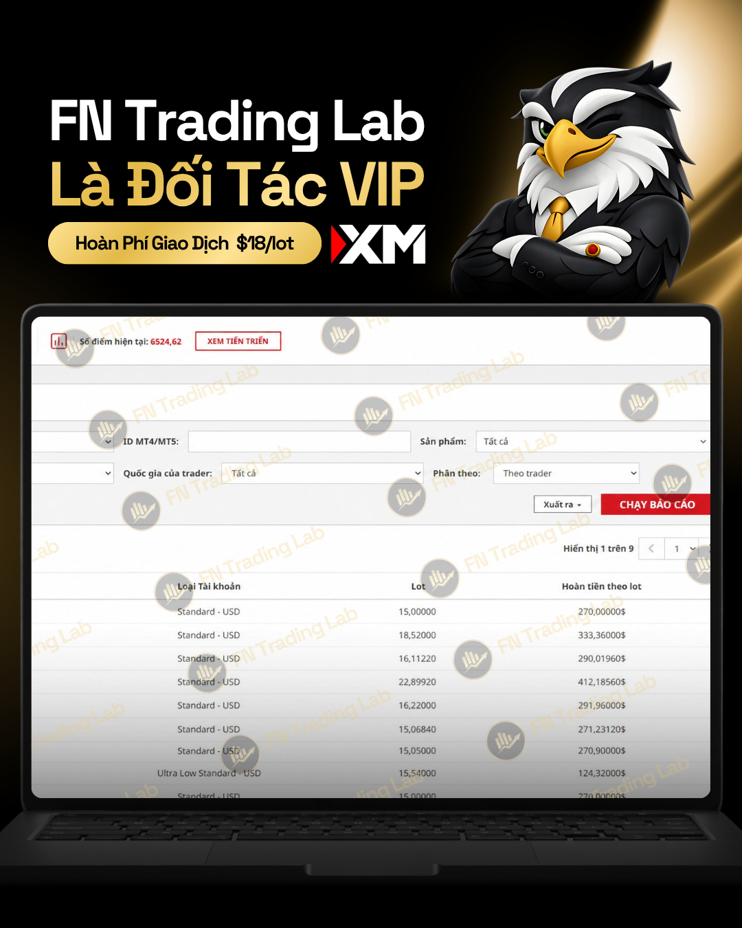 Backcom từ XM