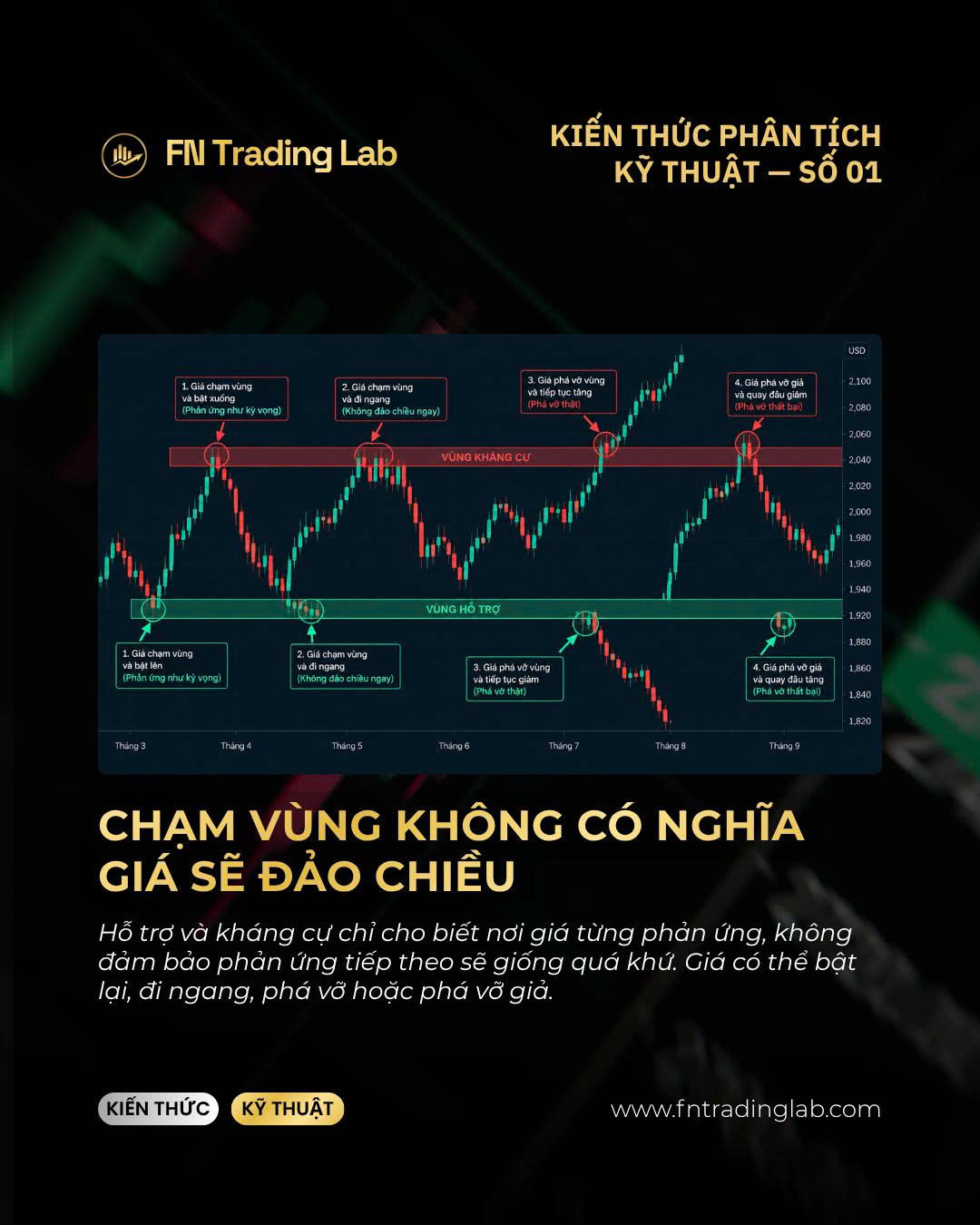 hỗ trợ và kháng cự là gì