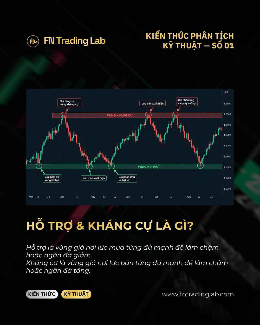hỗ trợ và kháng cự là gì