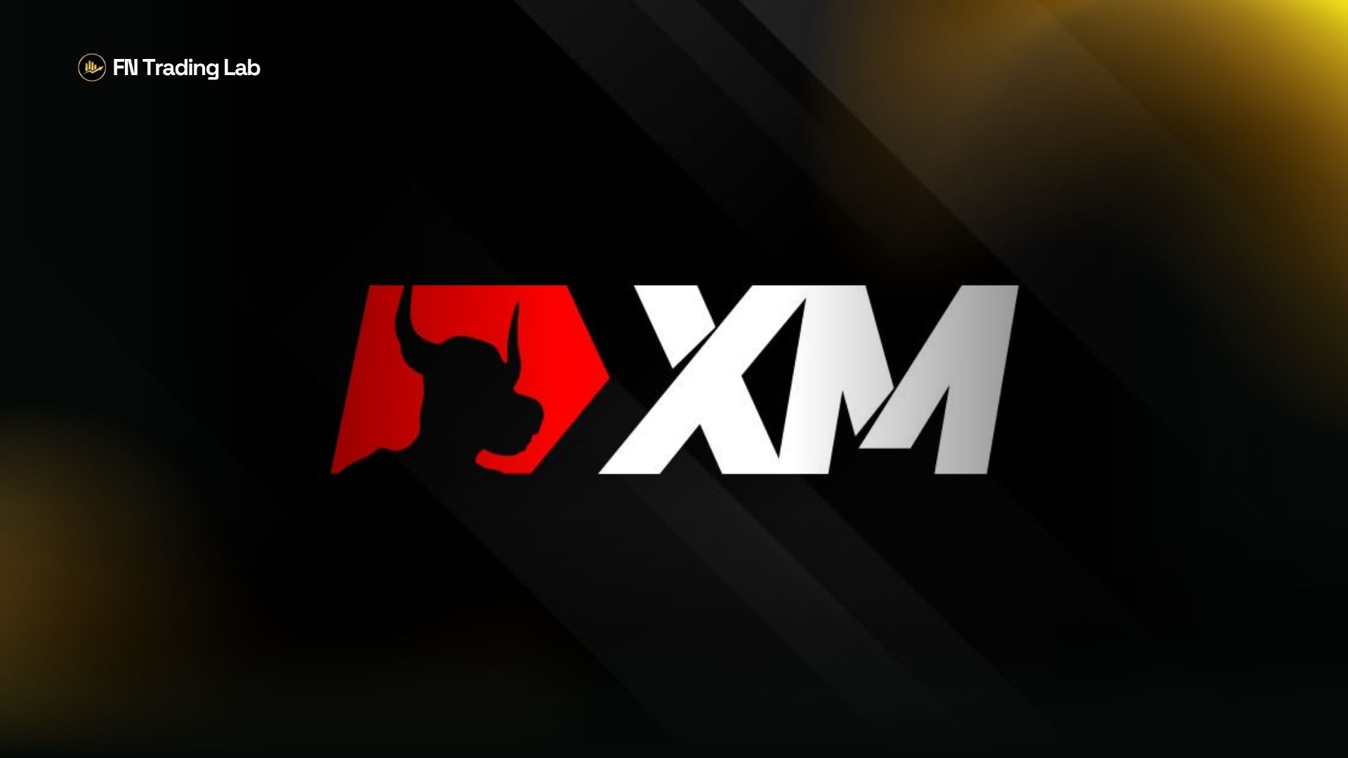 XM broker sharhi