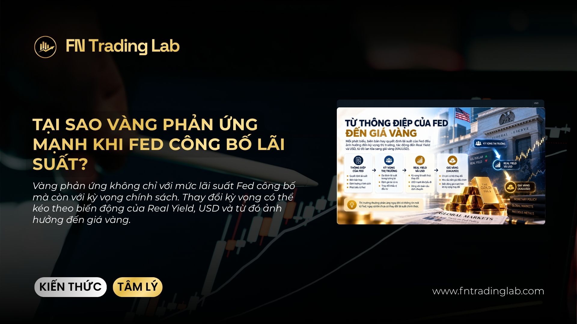 real yield tăng vàng vẫn tăng vì sao