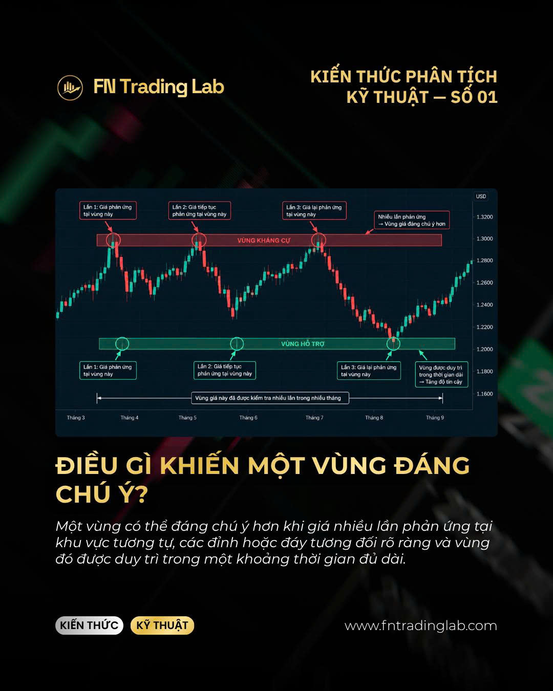 hỗ trợ và kháng cự là gì
