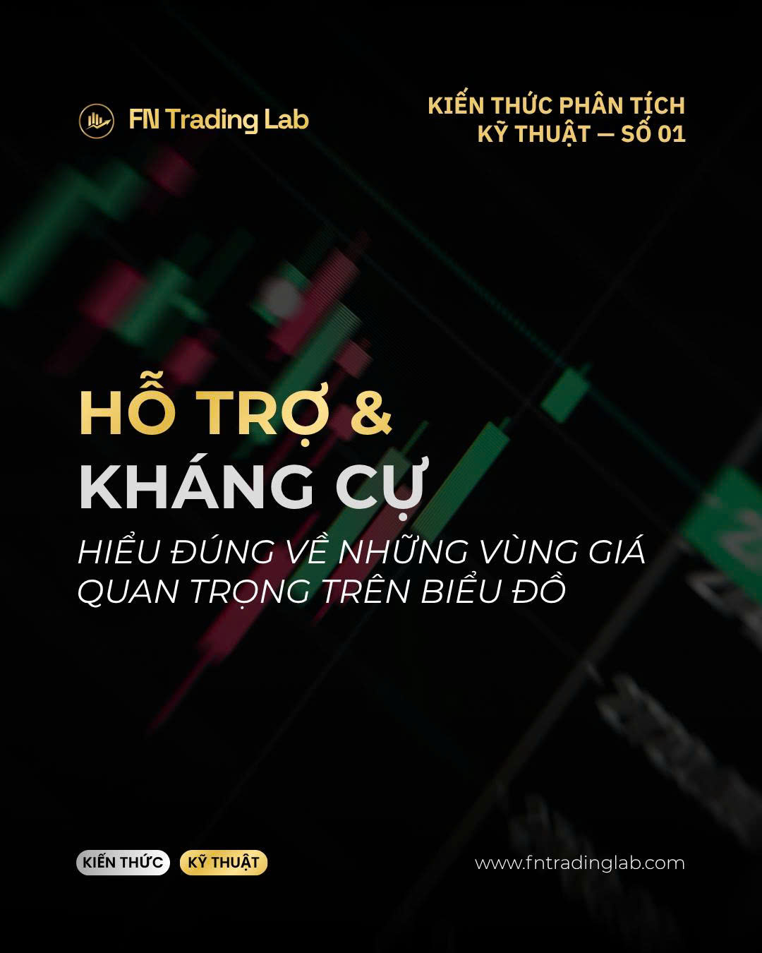 hỗ trợ và kháng cự là gì